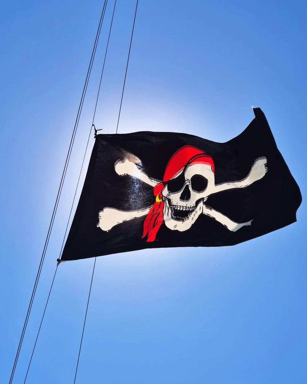 Pirate Boat & Flamingo Island Tour - Quad Djerba tour through palm forests, beaches and desert
