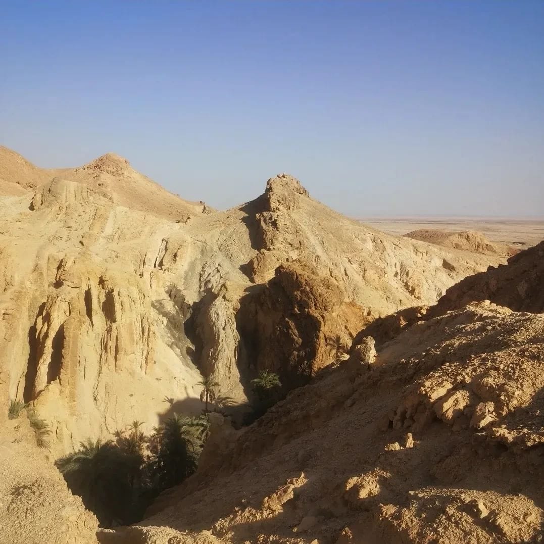 Natural spring at Ksar Ghilane