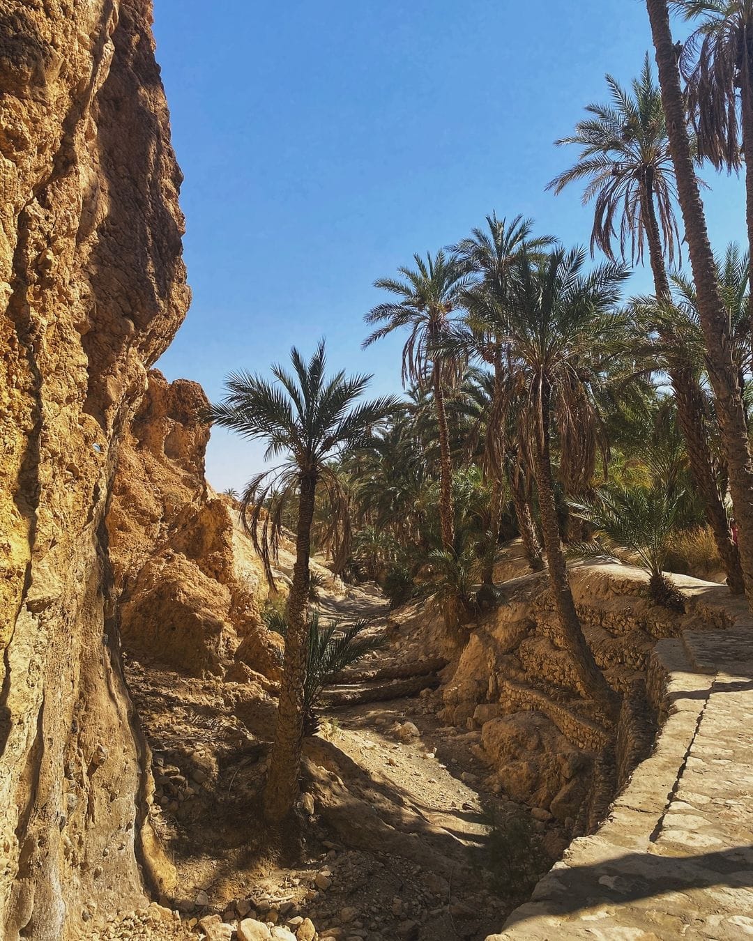 Desert camping experience