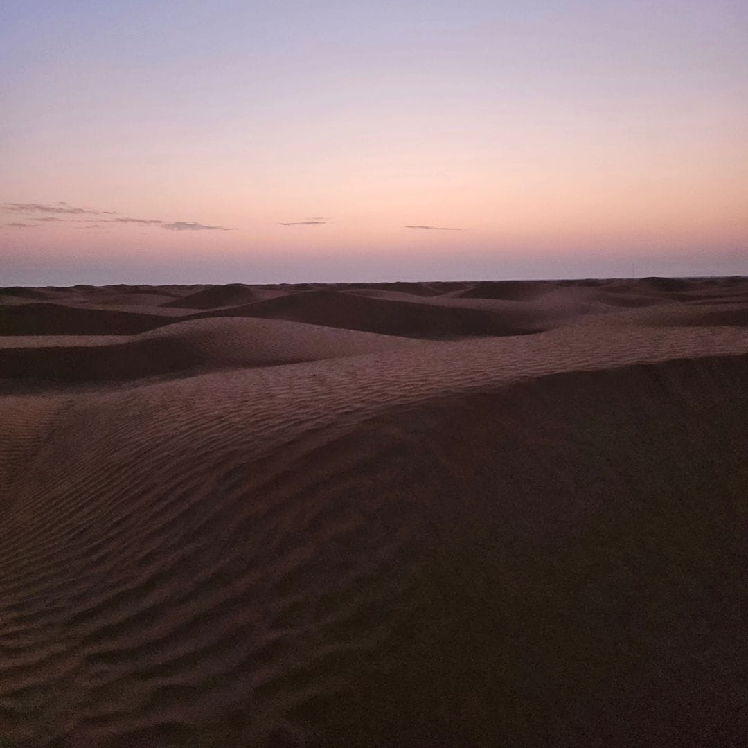 Golden hour in the Sahara desert