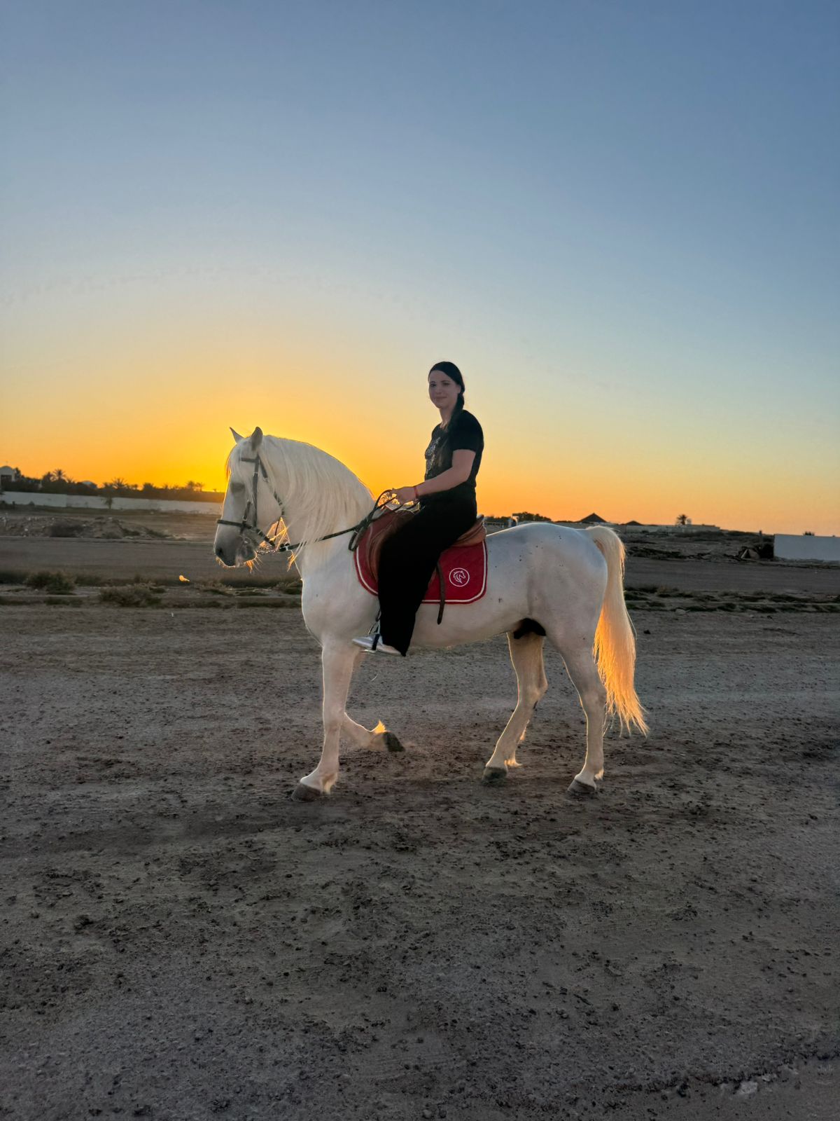 Peaceful horseback ride through lagoons